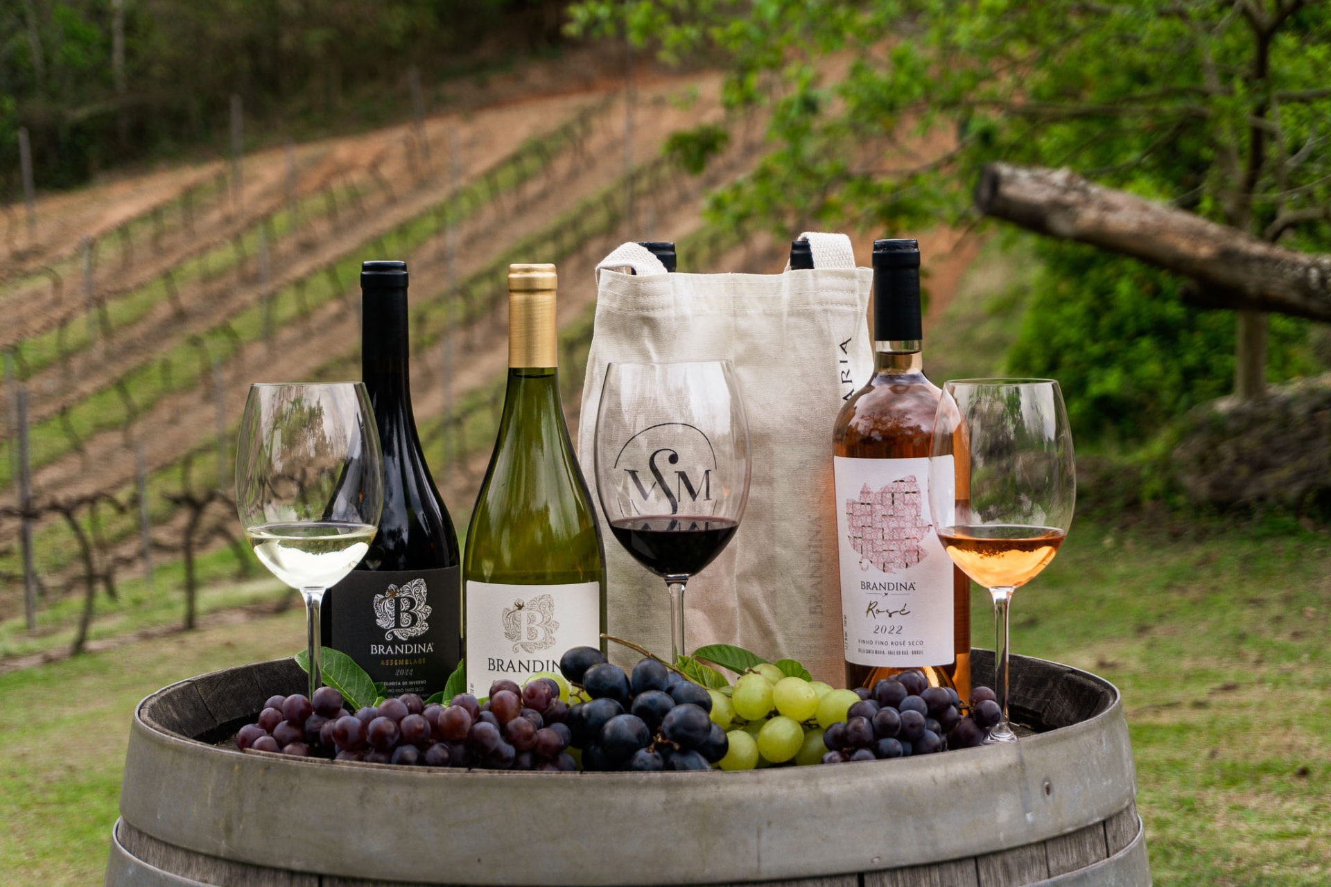 Vinhos Brandina e uvas diante dos vinhedos do Vale do Baú
